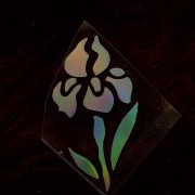 Термотрансфер наклейка цветок радужный 1,8*3,3см (другие цвета выбирайте ниже)
